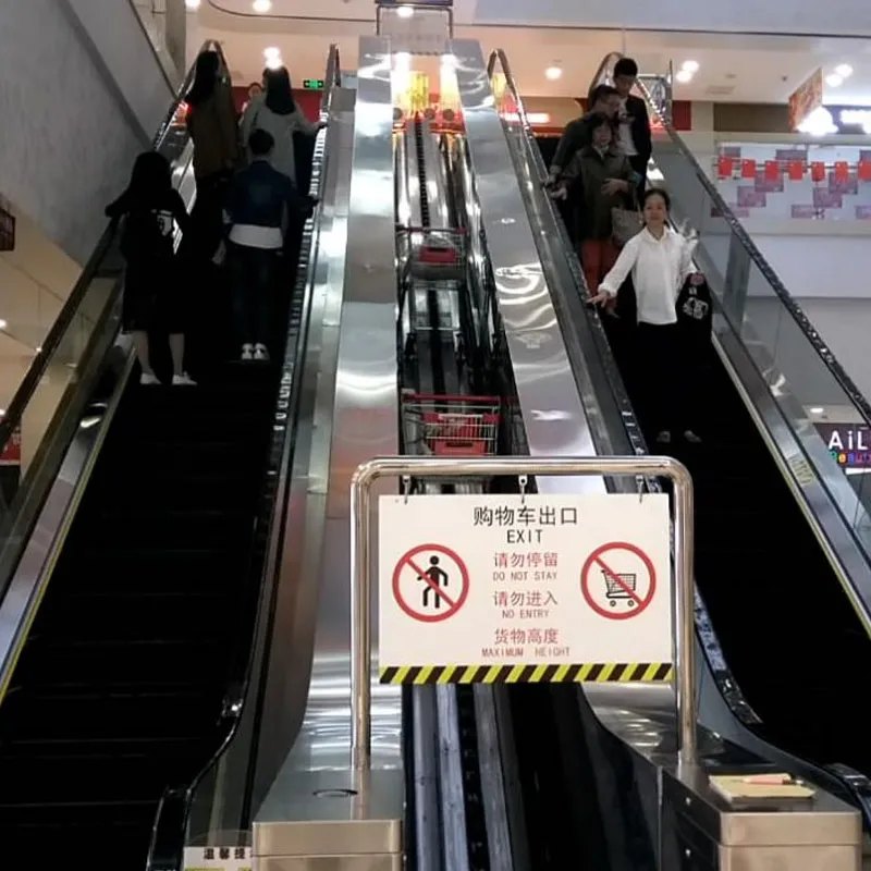 Эскалатор для тележек (1)